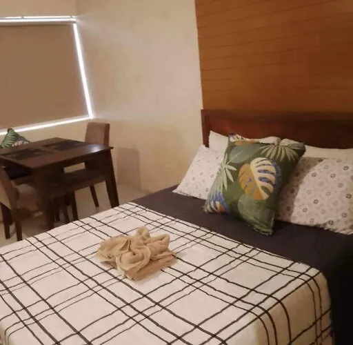 Unit Near Ayala And Sm With Free Netflix, And Youtube * セブ市